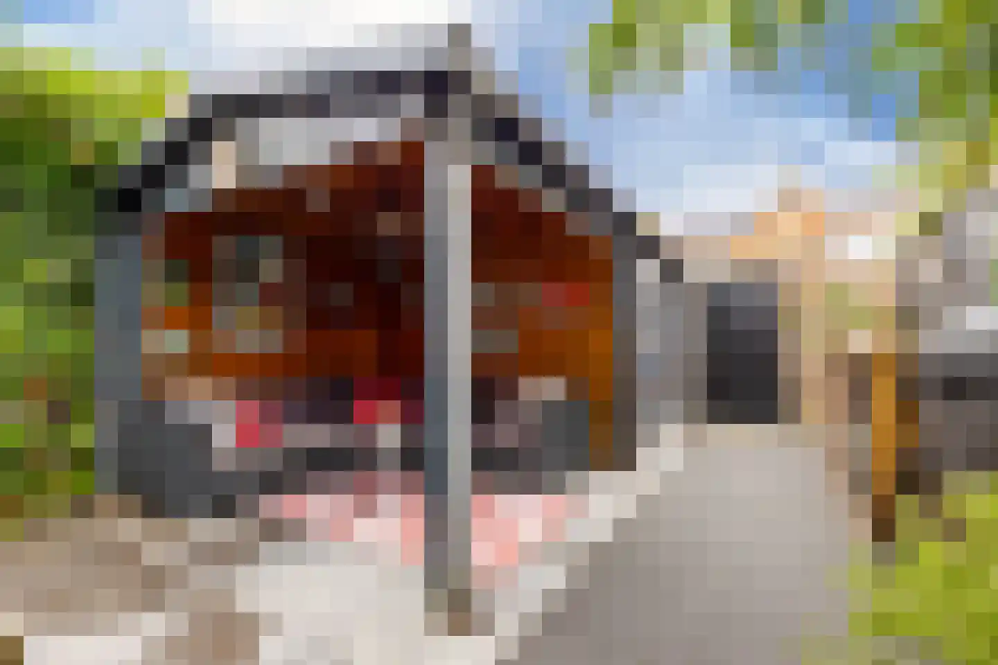 Giessenlaan 23 Giessenburg thumbnail 29