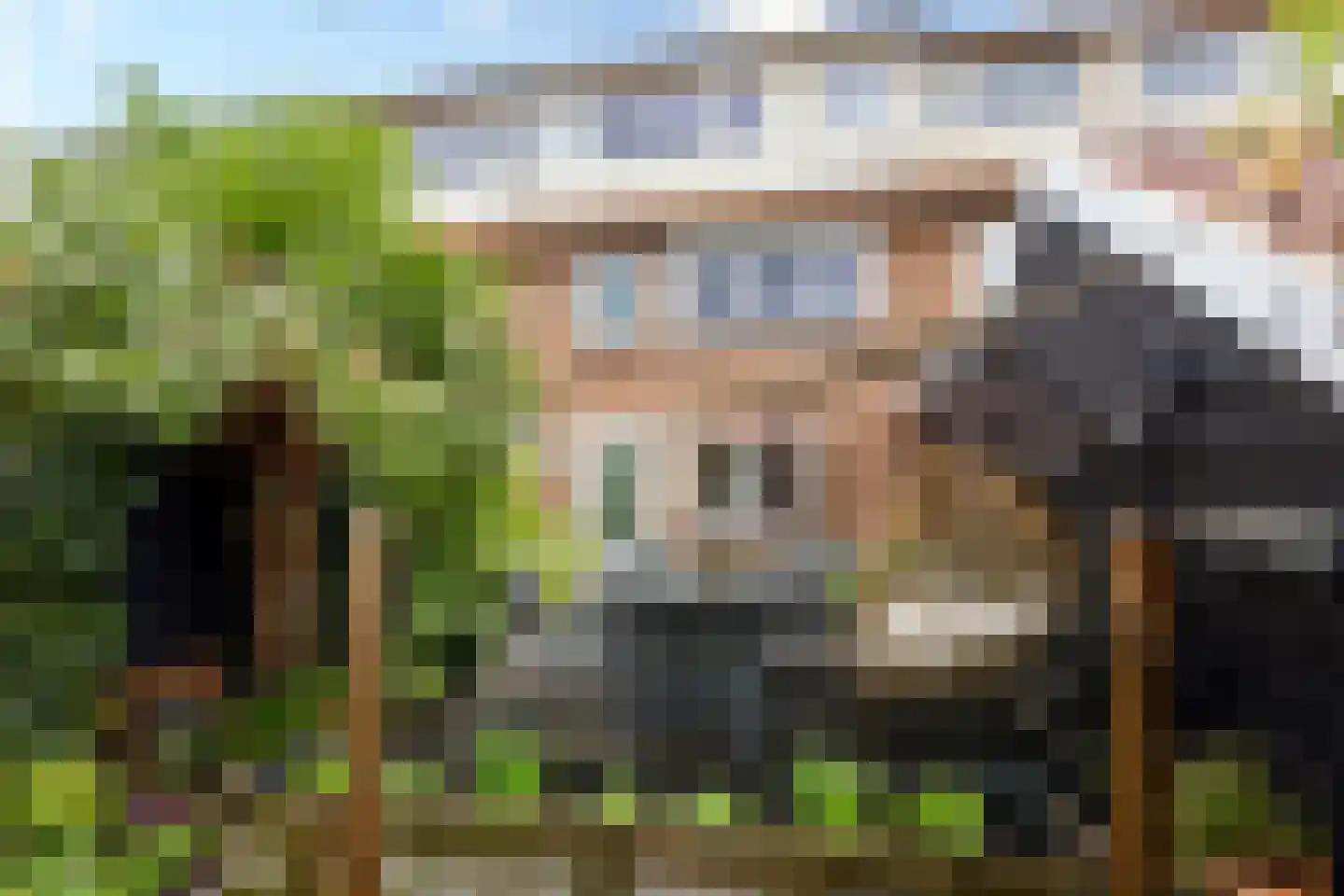 Giessenlaan 23 Giessenburg foto 3
