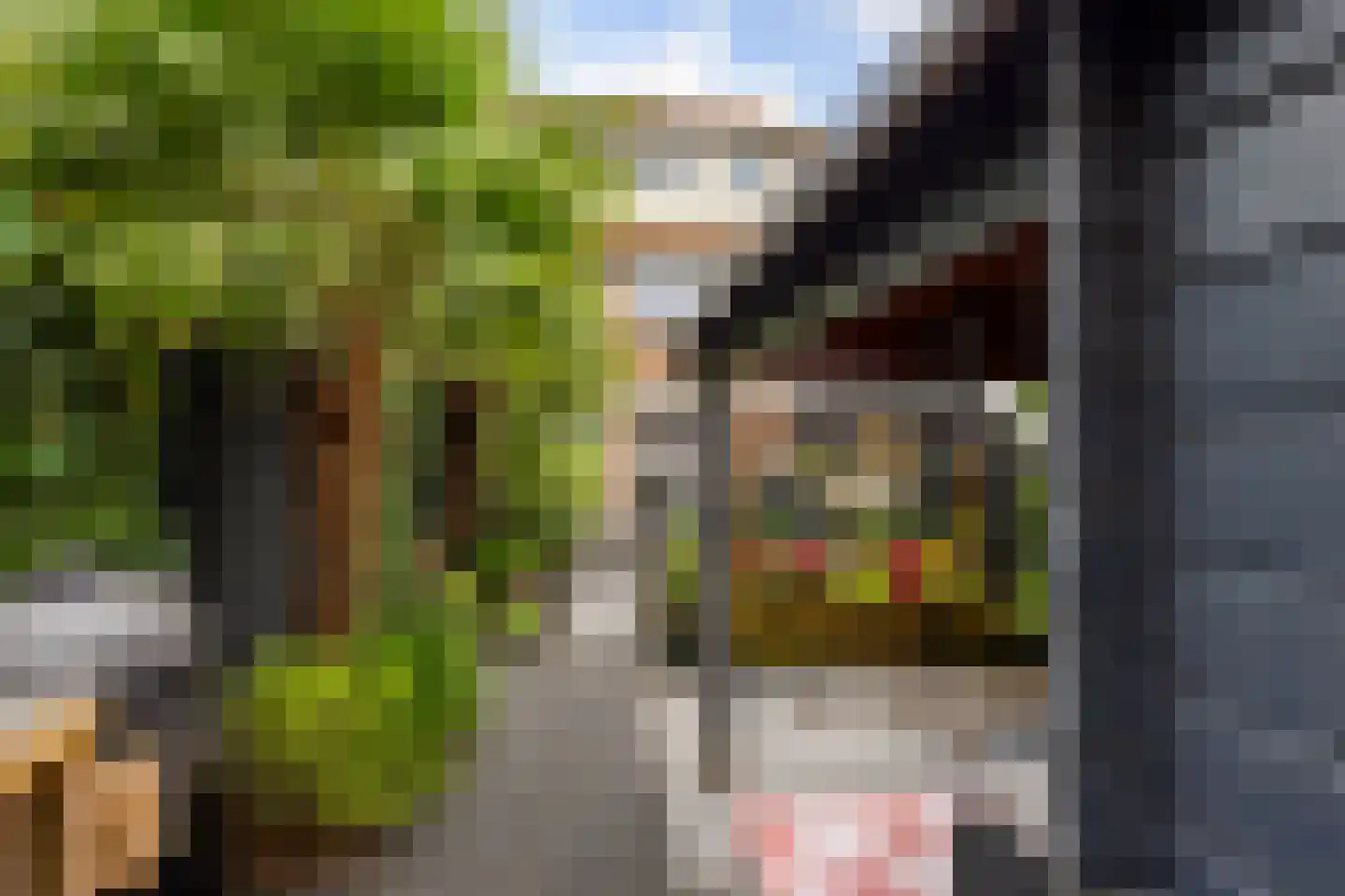 Giessenlaan 23 Giessenburg thumbnail 31