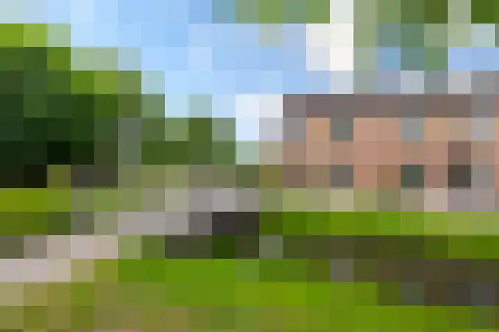 Giessenland 16 Hoornaar