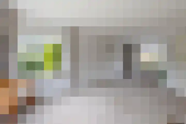 Giessenland 16 Hoornaar thumbnail 10