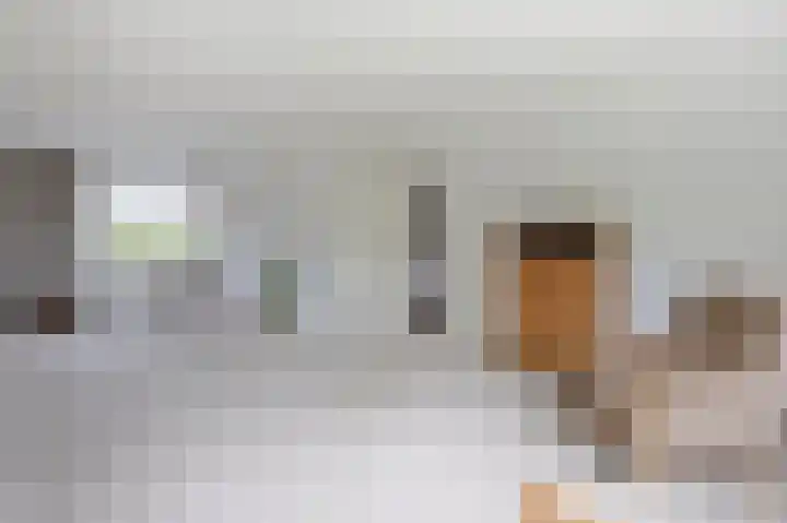 Giessenland 16 Hoornaar thumbnail 11