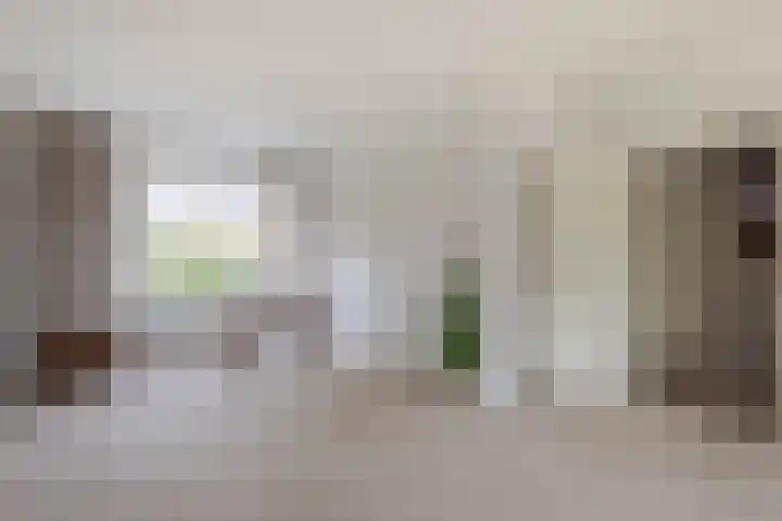 Giessenland 16 Hoornaar thumbnail 12