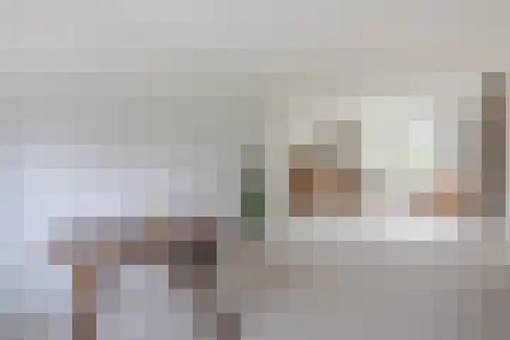 Giessenland 16 Hoornaar thumbnail 13
