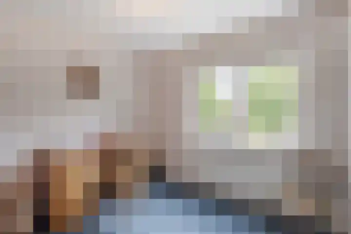 Giessenland 16 Hoornaar thumbnail 20