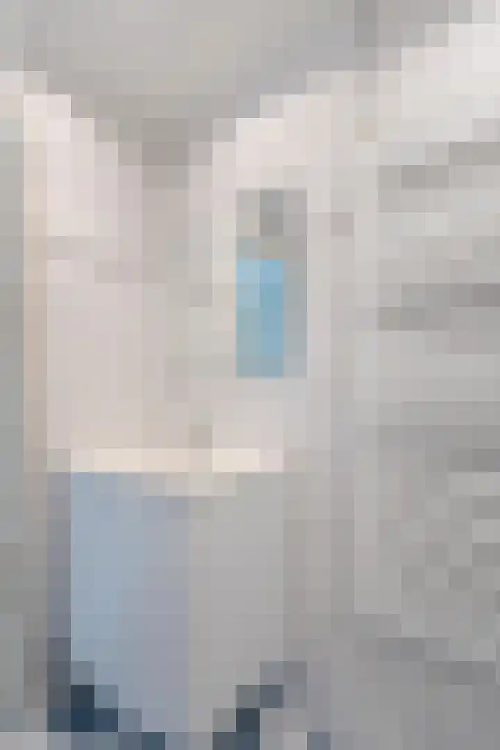 Giessenland 16 Hoornaar thumbnail 23