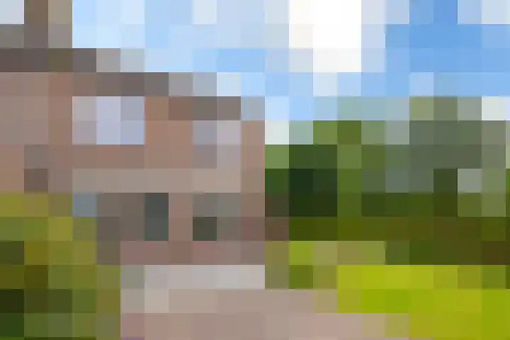 Giessenland 16 Hoornaar thumbnail 26