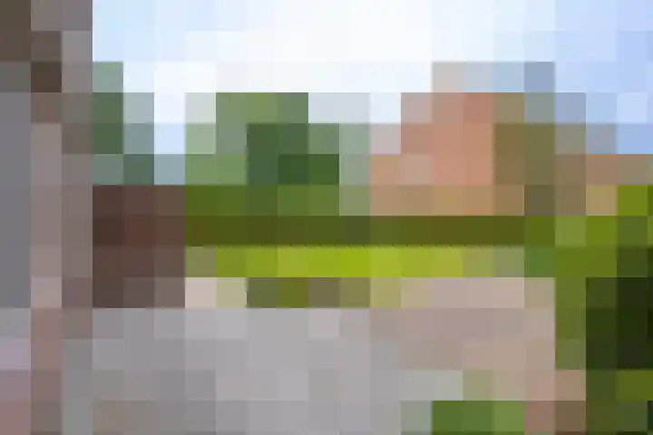 Giessenland 16 Hoornaar thumbnail 27
