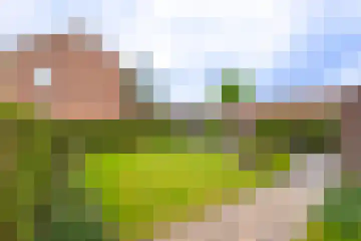 Giessenland 16 Hoornaar thumbnail 28