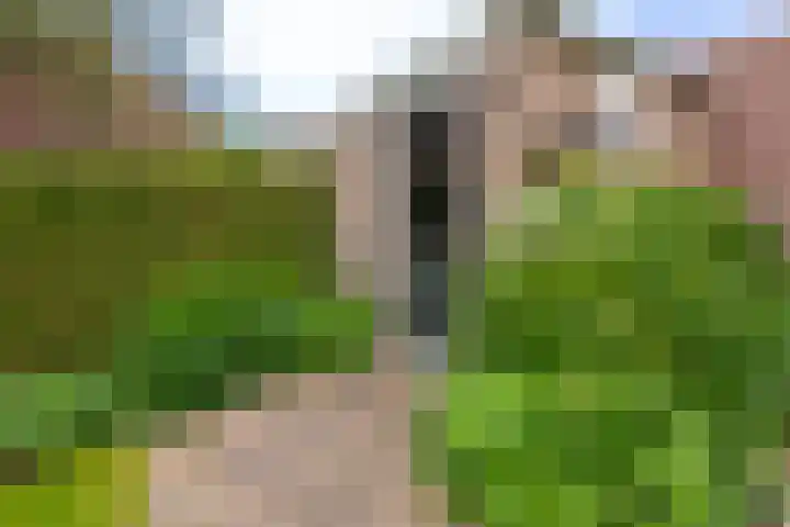 Giessenland 16 Hoornaar thumbnail 29
