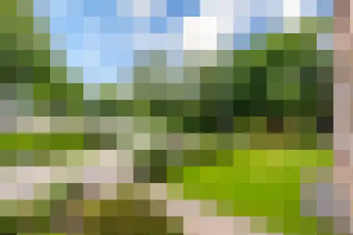 Giessenland 16 Hoornaar thumbnail 30