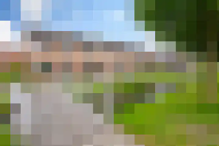 Giessenland 16 Hoornaar thumbnail 31