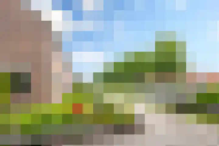 Giessenland 16 Hoornaar thumbnail 32