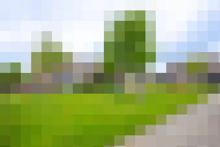 Giessenland 16 Hoornaar thumbnail 34