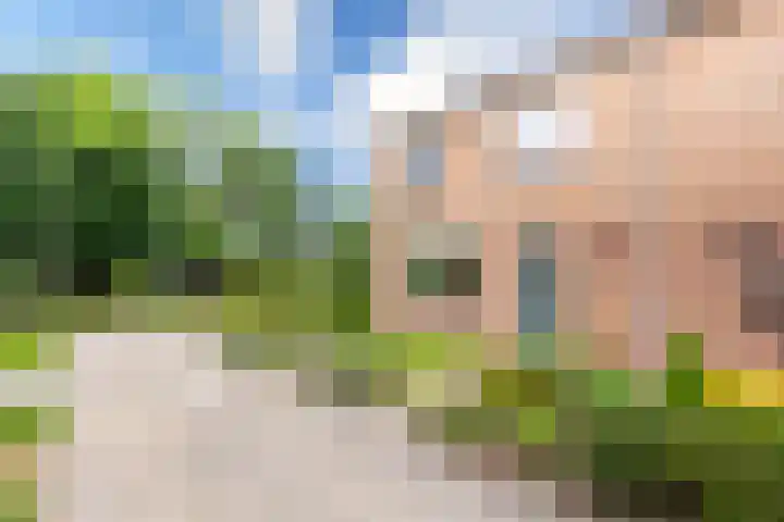 Giessenland 16 Hoornaar thumbnail 4