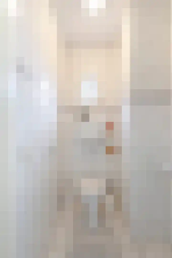 Giessenland 16 Hoornaar thumbnail 7
