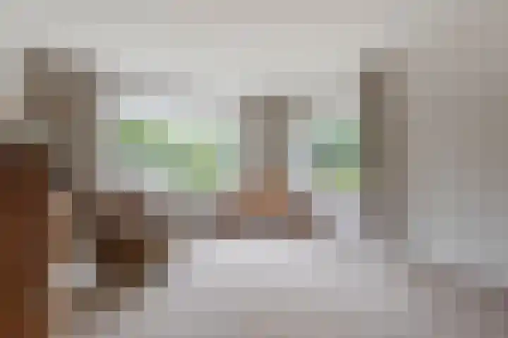 Giessenland 16 Hoornaar thumbnail 8