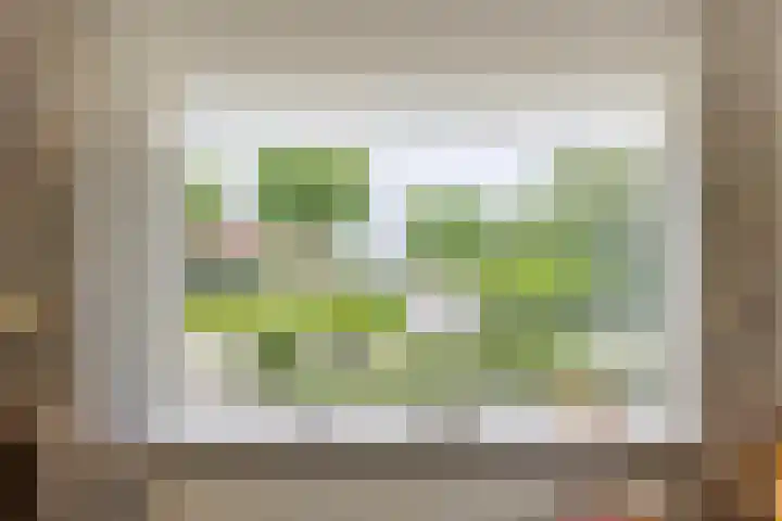 Giessenland 16 Hoornaar thumbnail 9