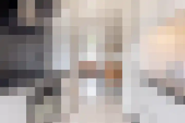 Giessenland 68 Hoornaar thumbnail 10