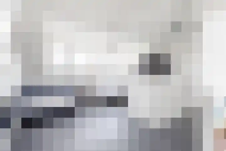 Giessenland 68 Hoornaar thumbnail 22
