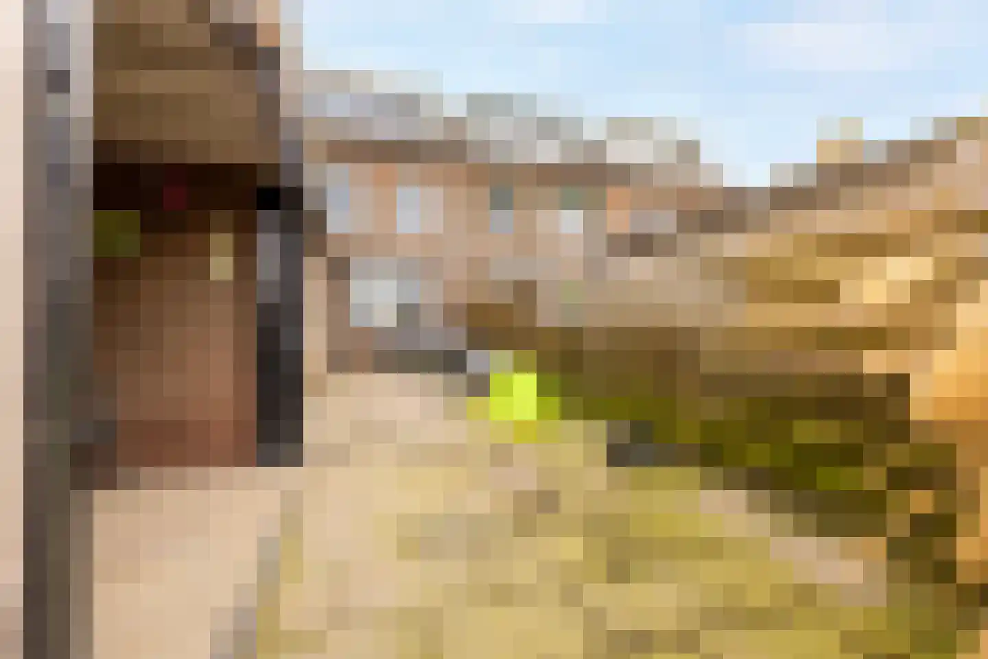 Giessenland 68 Hoornaar thumbnail 24