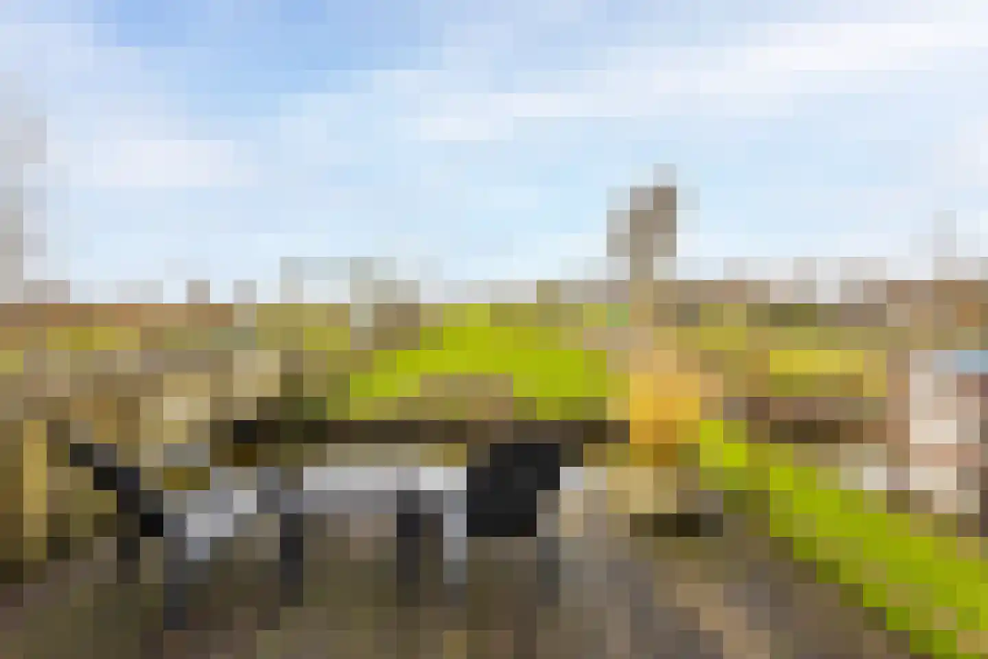 Giessenland 68 Hoornaar thumbnail 27