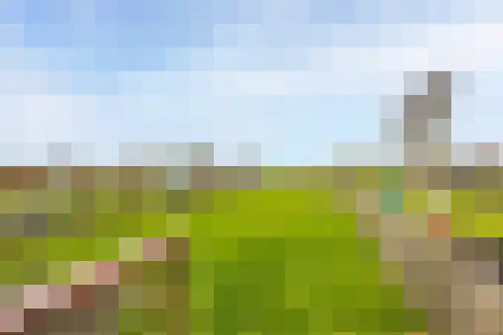 Giessenland 68 Hoornaar thumbnail 28