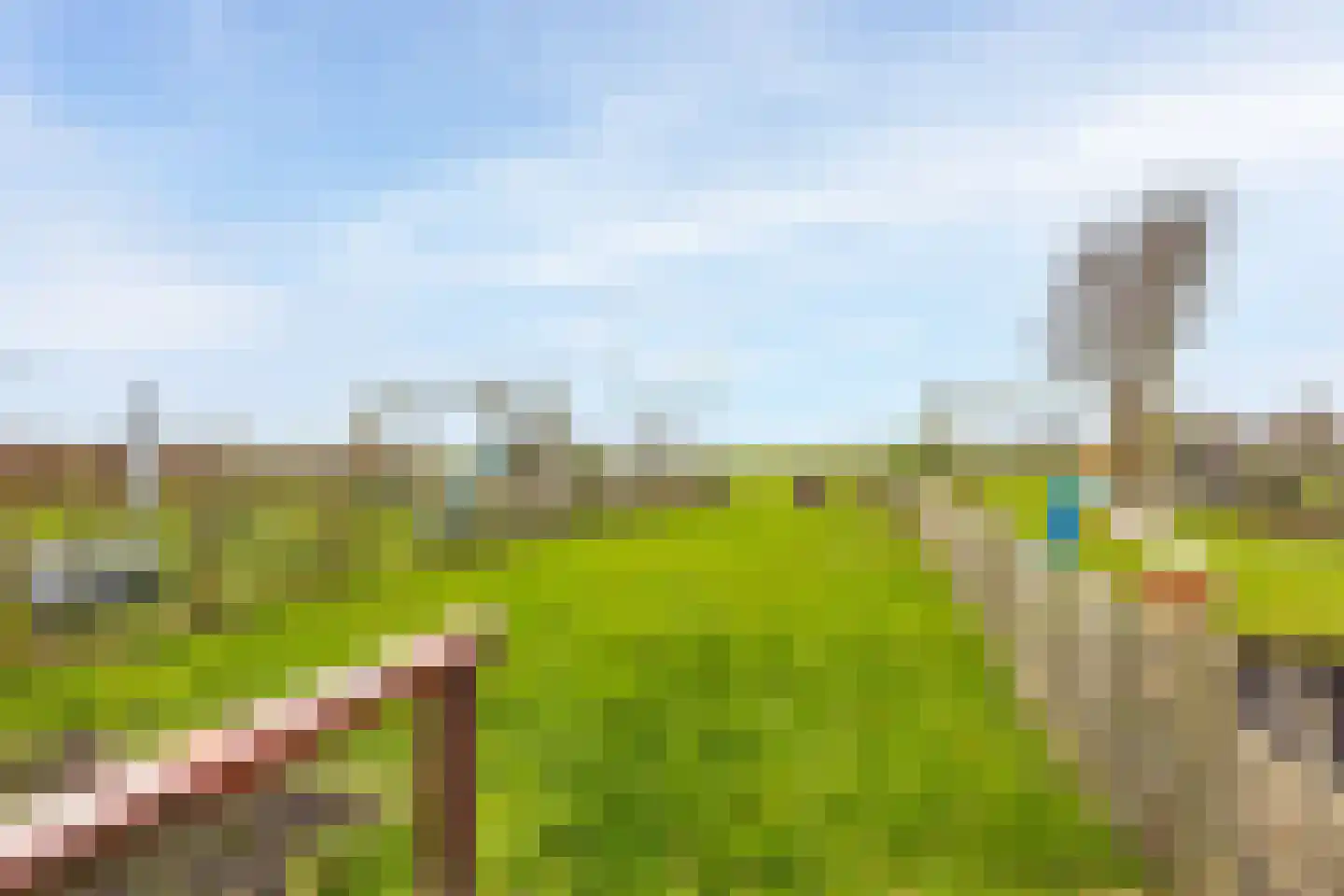 Giessenland 68 Hoornaar thumbnail 28