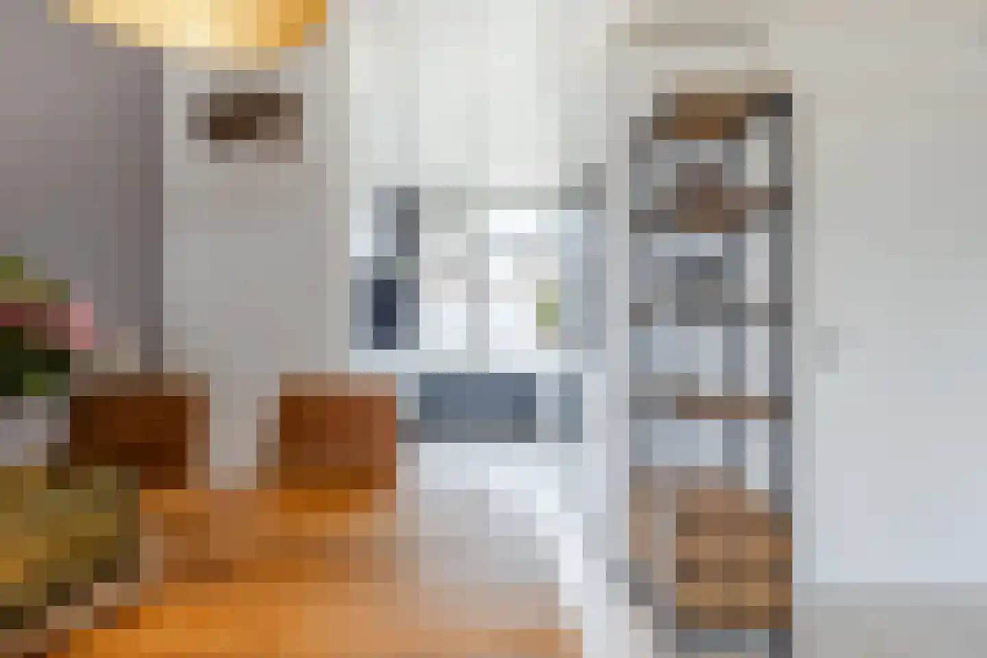 Giessenland 68 Hoornaar thumbnail 7