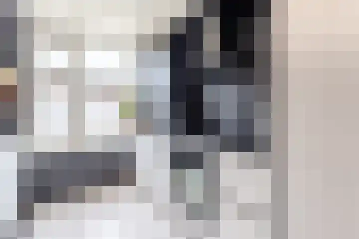 Giessenland 68 Hoornaar thumbnail 8