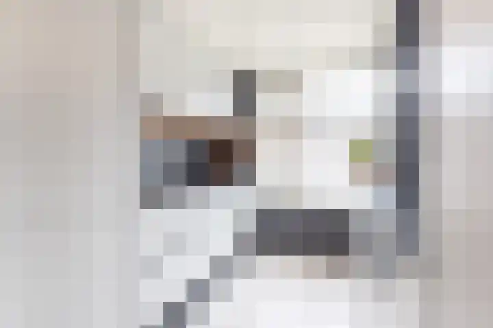 Giessenland 68 Hoornaar thumbnail 9