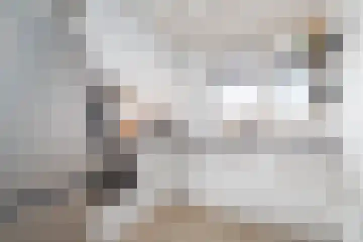 Giessenplein 19 Utrecht thumbnail 11