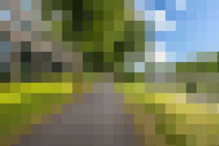 Giessenplein 19 Utrecht thumbnail 29
