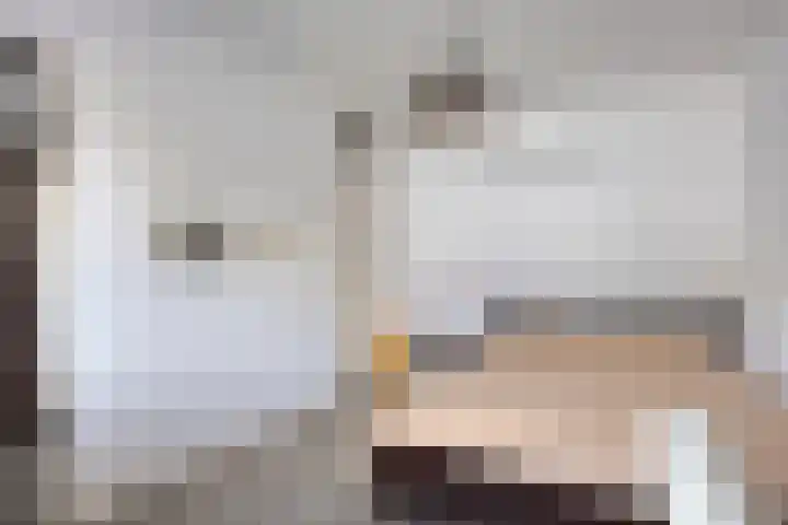 Giessenstraat 11 Tilburg thumbnail 11