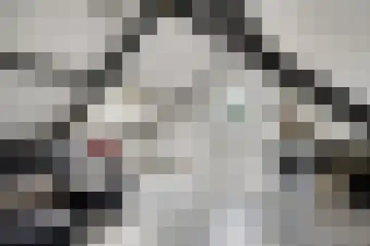 Giessenstraat 11 Tilburg thumbnail 21
