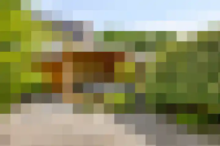 Giessenstraat 11 Tilburg thumbnail 25
