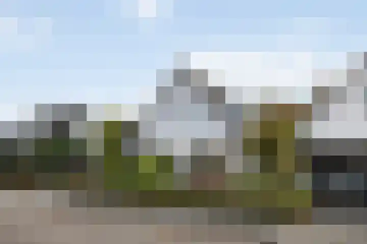 Gieteling 40 en Raalte