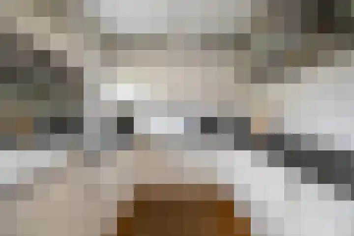 Gieteling 40 Raalte thumbnail 10