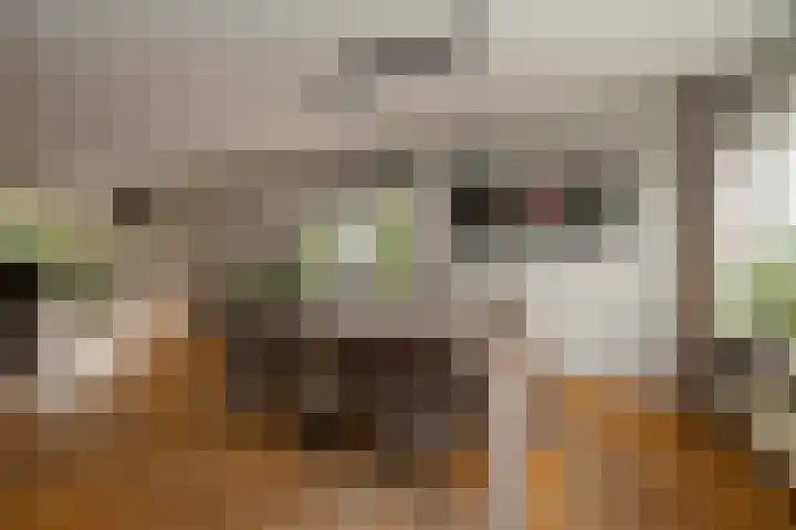 Gieteling 40 Raalte thumbnail 11