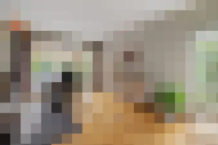 Gieteling 40 Raalte thumbnail 12