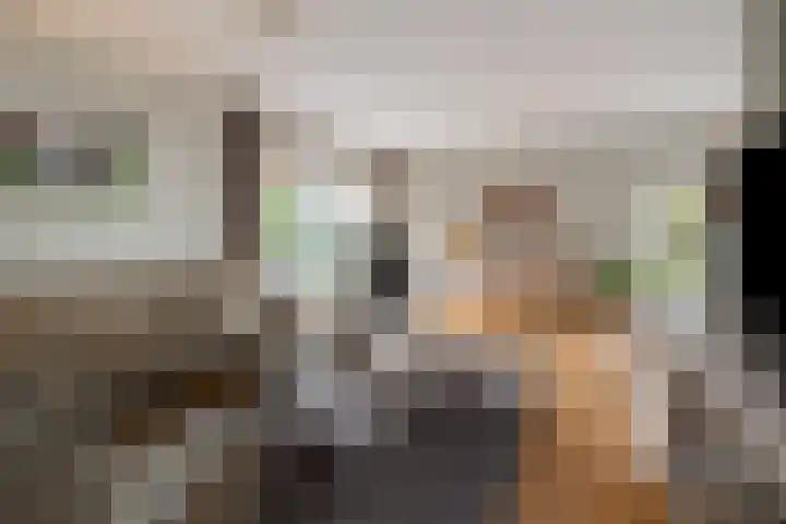 Gieteling 40 Raalte thumbnail 13