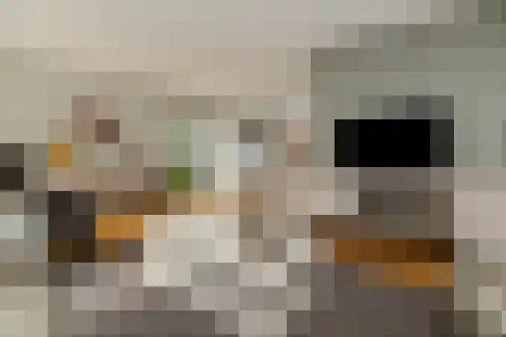 Gieteling 40 Raalte thumbnail 14