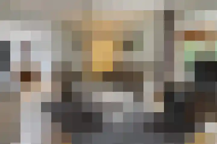 Gieteling 40 Raalte thumbnail 15