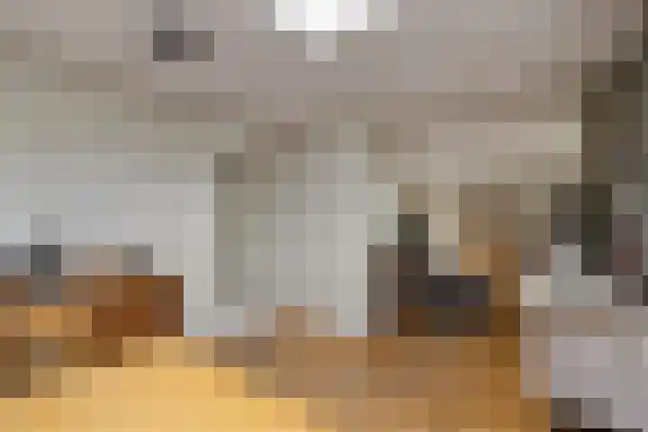 Gieteling 40 Raalte thumbnail 17