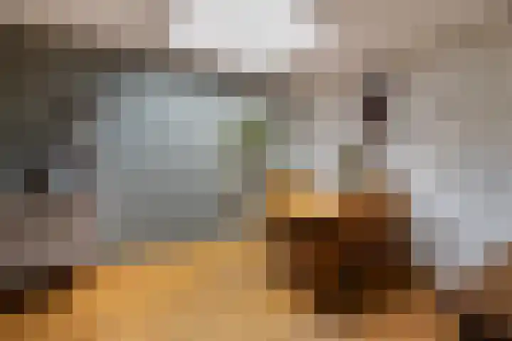 Gieteling 40 Raalte thumbnail 18