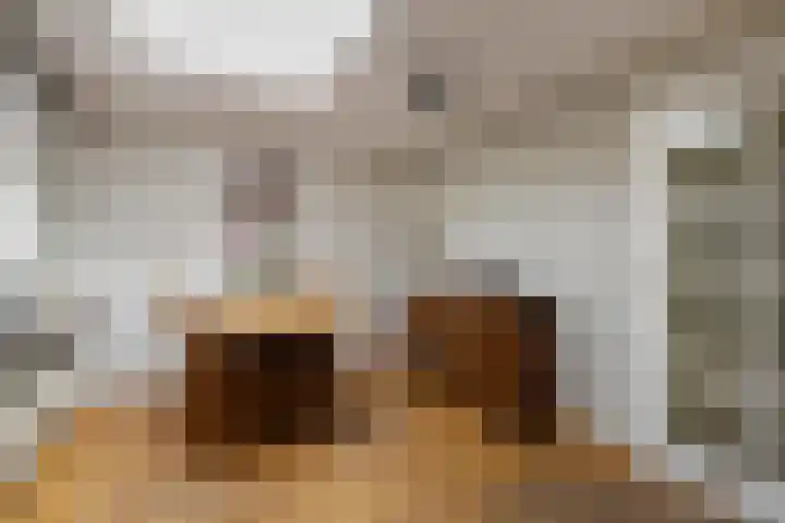 Gieteling 40 Raalte thumbnail 19
