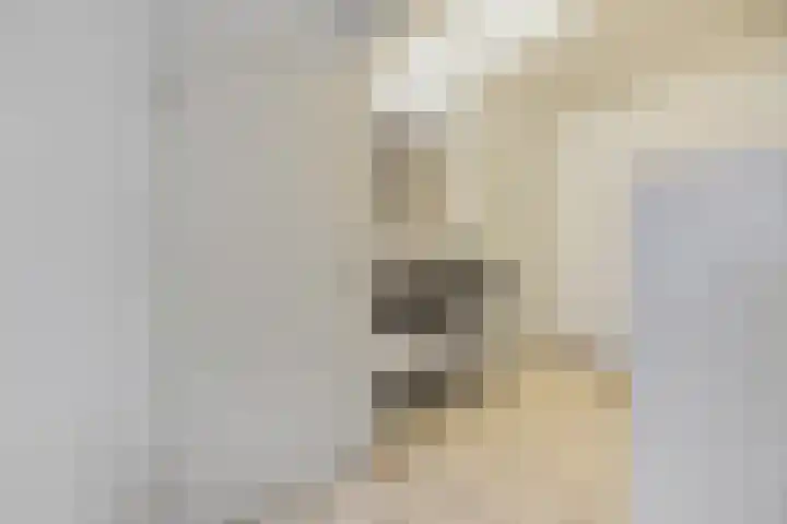 Gieteling 40 Raalte thumbnail 20