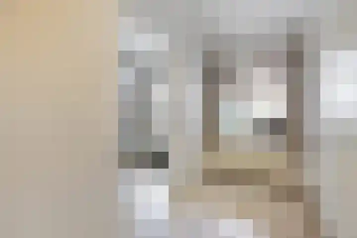Gieteling 40 Raalte thumbnail 22