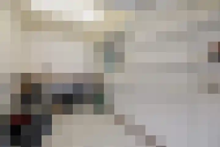 Gieteling 40 Raalte thumbnail 23