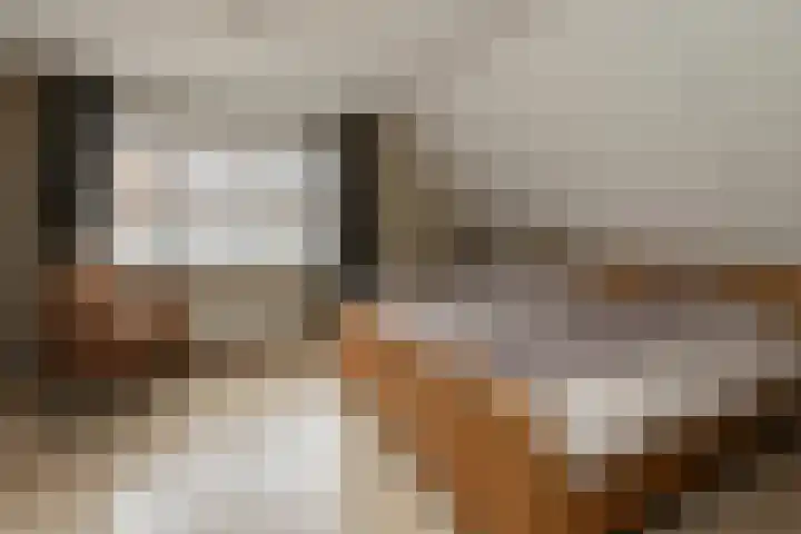 Gieteling 40 Raalte thumbnail 25